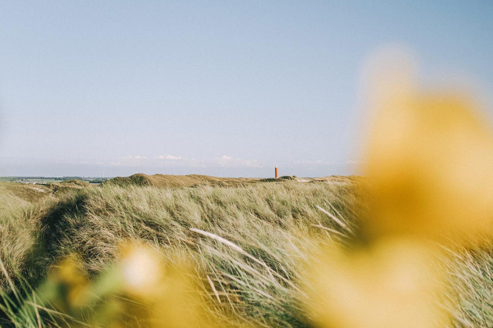 Vakantiehuis Zilt - Julianadorp Aan Zee Extérieur photo
