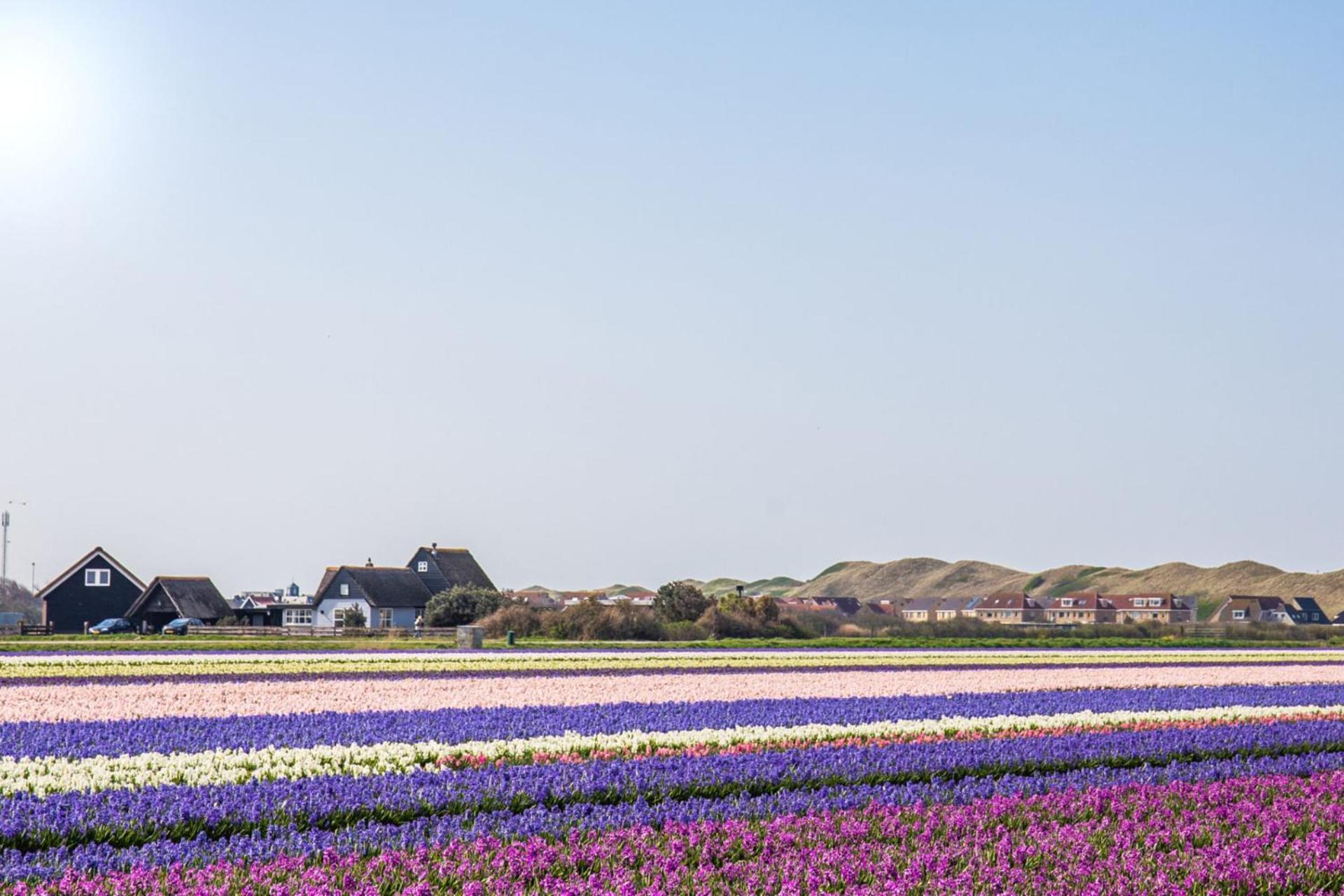 Vakantiehuis Zilt - Julianadorp Aan Zee Extérieur photo